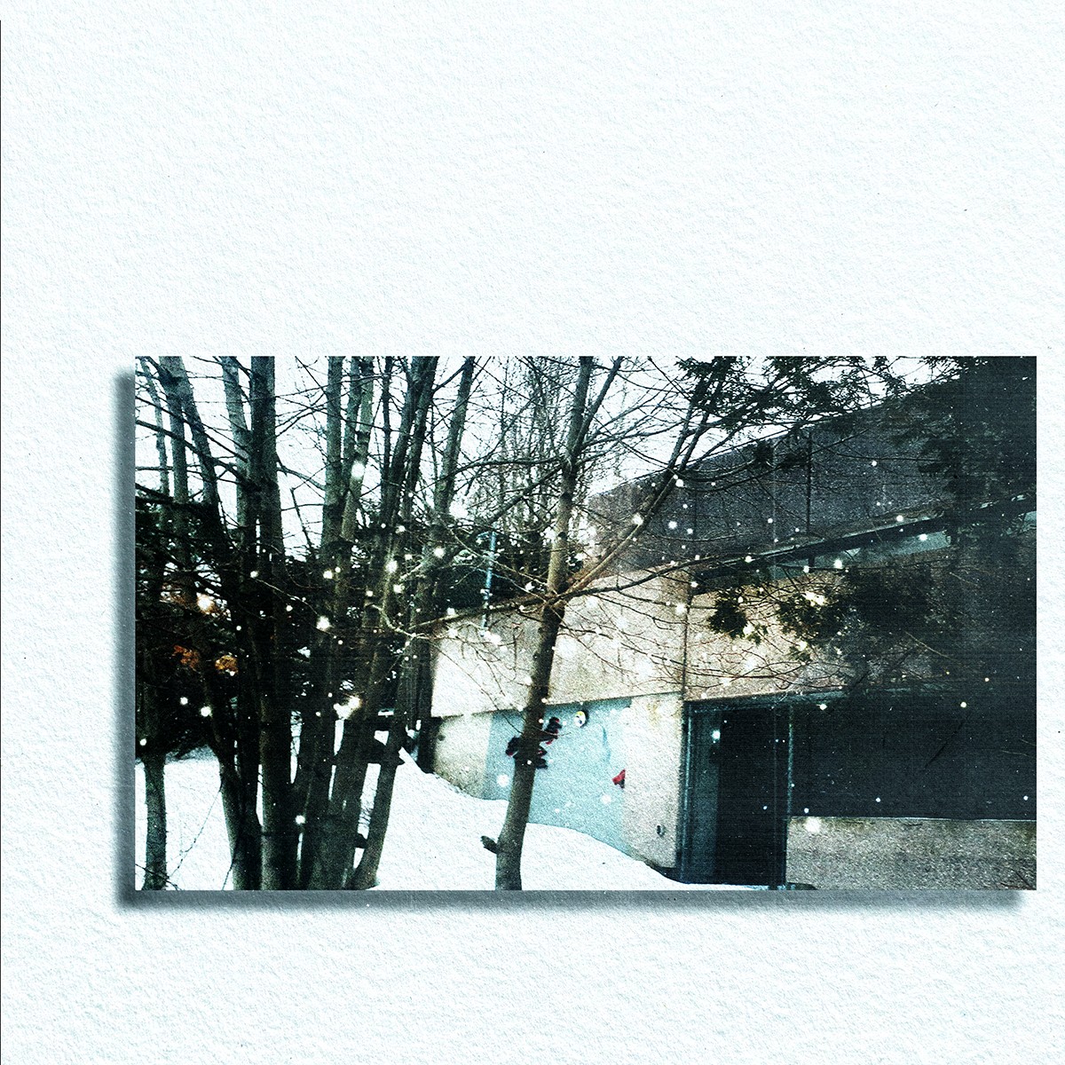 crisishotline michaelcoolen art 05.jpg